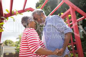 Low angle view of affectionate senior couple