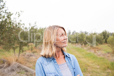 Thoughtful woman standing in olive field