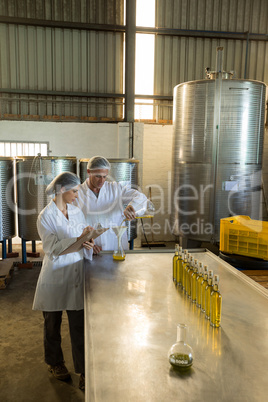 Technicians examining olive oil