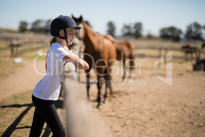 Girl leaning on the fence and looking at the horses