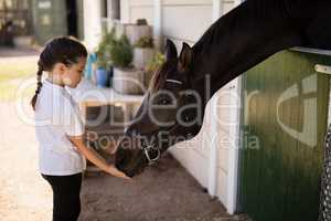 Girl feeding a horse in the stable