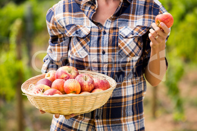 Midsection of woman holding apple