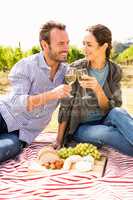 Happy couple toasting wineglasses