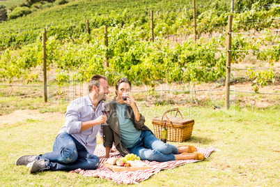 Full length of couple having wine at vineyard