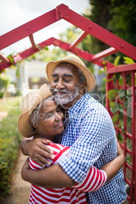 Affectionate senior couple embracing