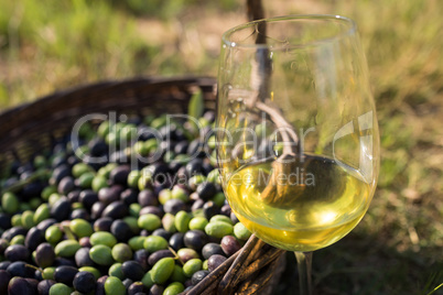 Harvested olives and glass of wine in grass