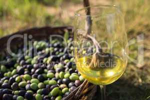 Harvested olives and glass of wine in grass