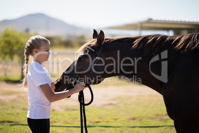 Girl adjusting the muzzle of the horse in the ranch