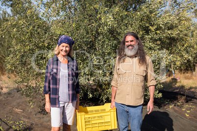 Portrait of happy couple holding crate in olive farm