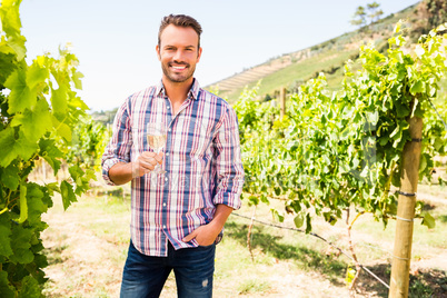 Portrait of smiling man holding wineglass