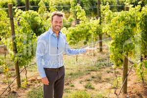 Portrait of man gesturing at vineyard