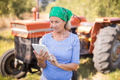 Woman using digital tablet in olive farm
