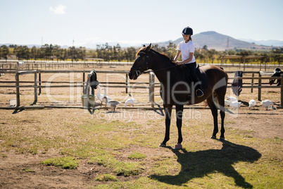 Girl riding a horse in the ranch