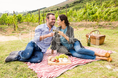 Smiling couple toasting wineglasses