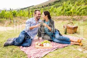 Smiling couple toasting wineglasses