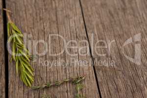 Close up of rosemary and thyme on table