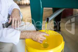 Technician examining olive oil produced from machine