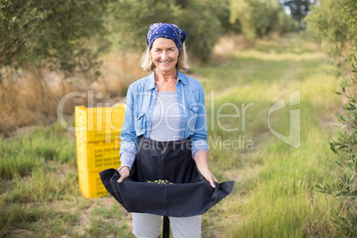 Portrait of happy woman holding harvested olives in her skirt