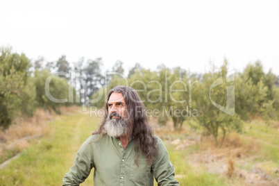 Thoughtful man standing in olive field