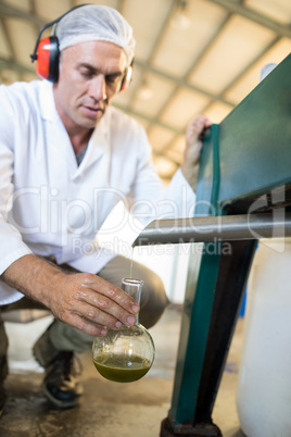 Technician examining olive oil produced from machine