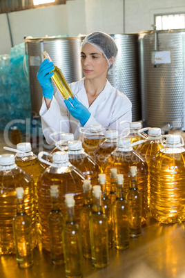 Female technician examining olive oil