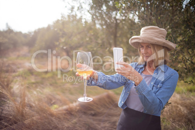 Woman taking a photo of wine glass in olives farm