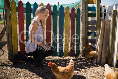 Girl looking at the hen in farm