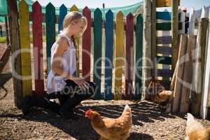 Girl looking at the hen in farm