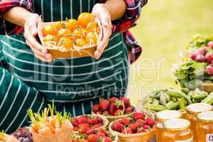Midsection of woman holding tomatoes in box