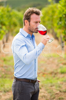 Young man drinking red wine