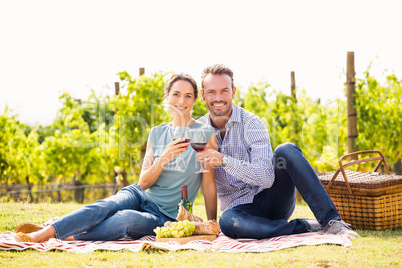 Portrait of couple toasting wineglasses at lawn