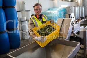 Portrait of happy worker putting harvested olive in machine