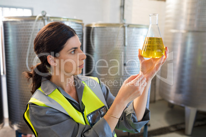 Female technician examining olive oil