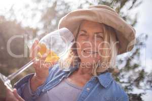 Woman looking at glass of wine in olives farm