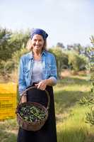 Portrait of happy of woman holding harvested olives in basket