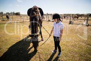 Girl holding the reins of a horse in the ranch