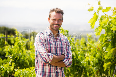 Portrait of smiling man at vineyard