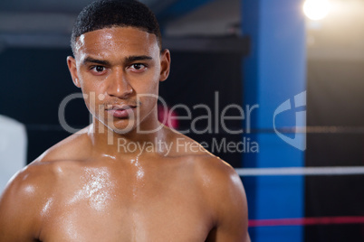 Portrait of confident young male boxer