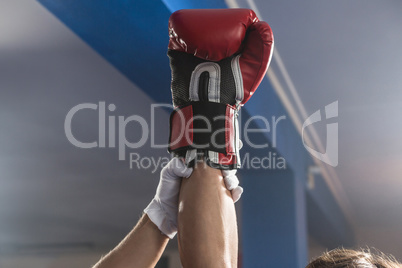 Referee holding hand of winning male boxer