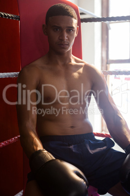 Portrait of confident man sitting in boxing ring