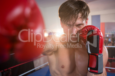 Portrait of young male boxer practicing in boxing ring