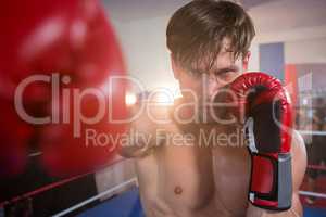 Portrait of young male boxer practicing in boxing ring