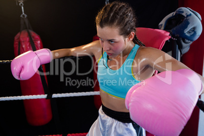 Young female boxer sitting in corner of boxing ring