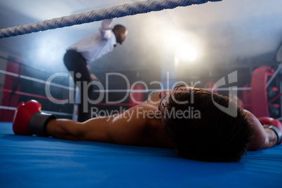 Unconscious boxer lying by referee in ring
