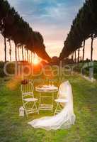 nice wedding decoration for outdoors