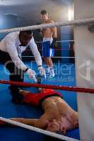 Referee counting by unconscious boxer in ring