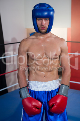 Portrait of male boxer wearing blue headgear