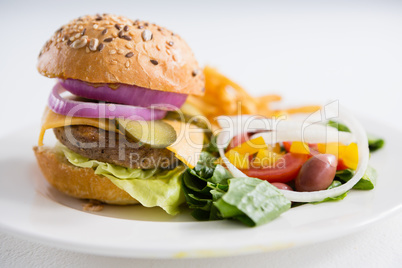 Close up of burger with salad in plate