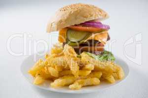 Close up of burger and french fries in plate