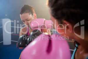 Close-up of female boxer punching athlete